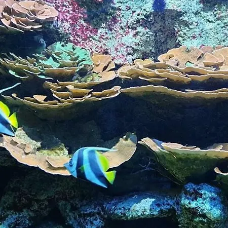 Les Barons De Guers Ferienhaus *