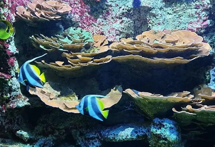 Les Barons De Guers Σπίτι διακοπών *